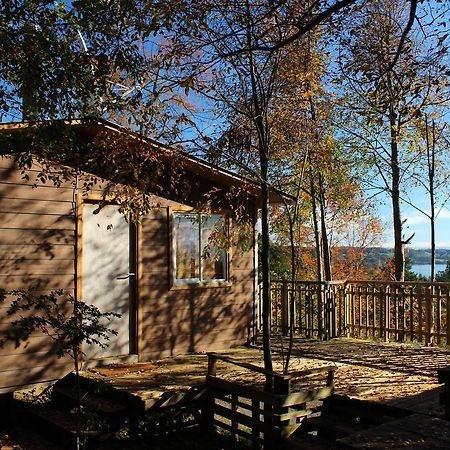 Cabañas Mas Ke Miel Lago Ranco Exterior foto
