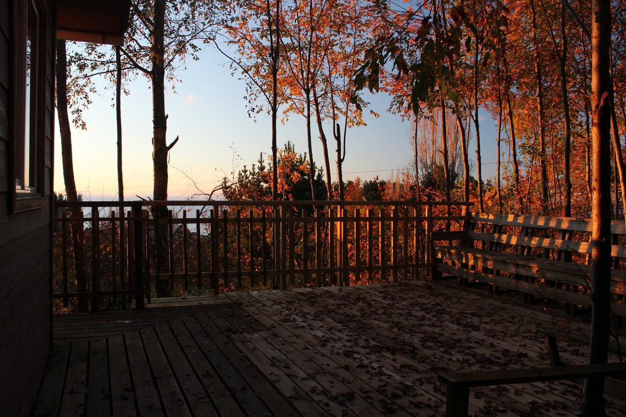 Cabañas Mas Ke Miel Lago Ranco Exterior foto